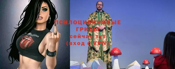 соль ск Инта