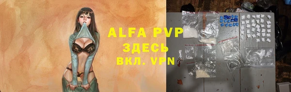 a pvp Инсар