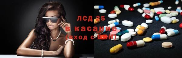мяу мяу кристалл Иннополис