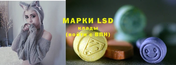 a pvp Инсар