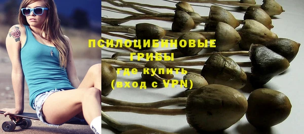 мяу мяу кристалл Иннополис
